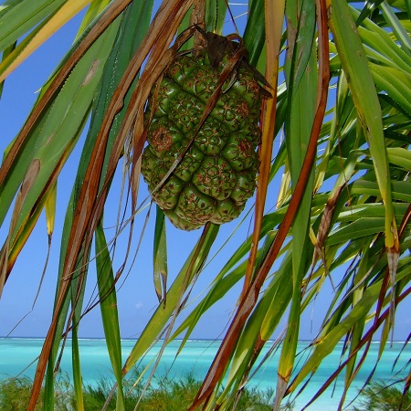 8 days Tour in Zanzibar